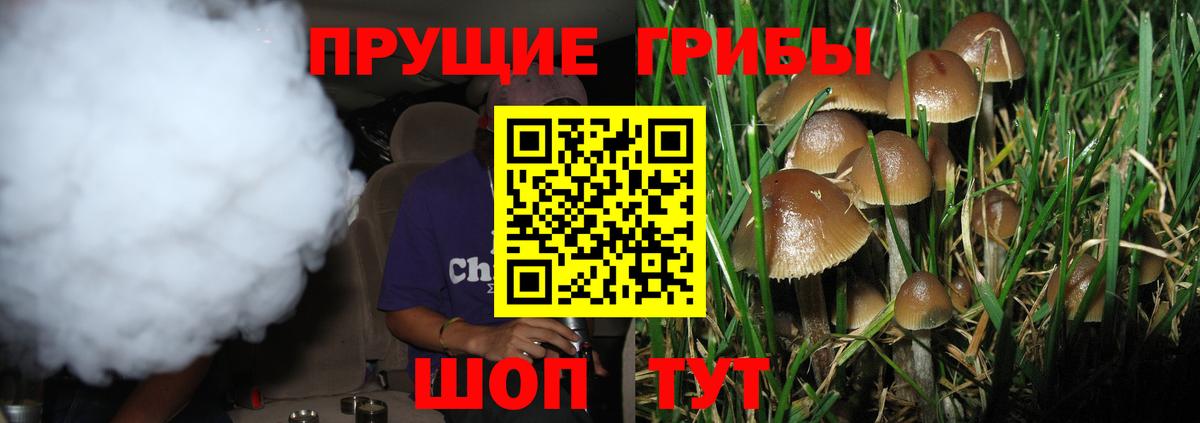 Чехов  Псилоцибиновые грибы ЛСД  Вход с VPN 