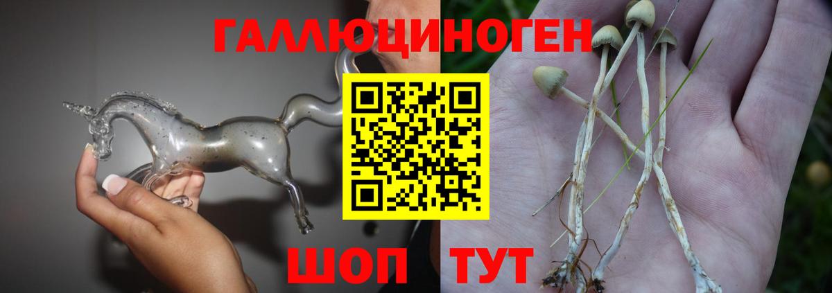 Псилоцибиновые грибы MAGIC MUSHROOMS Чехов